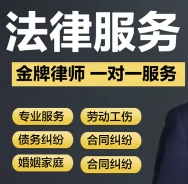 刑事辩护|法律顾问|债务纠纷|婚姻家庭律师咨询